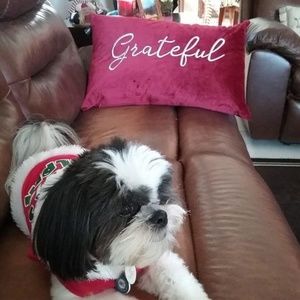 Meet your Posher, Kay